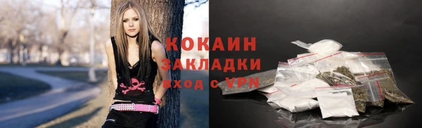тгк Арсеньев