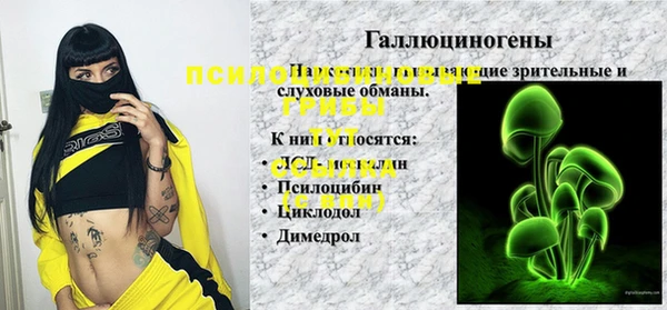 тгк Арсеньев