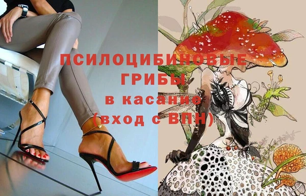 амф Алексеевка