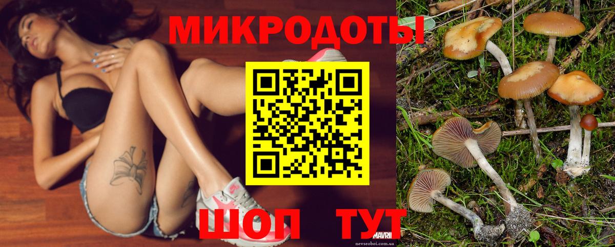 Псилоцибиновые грибы мухоморы  Галлюциногенные грибы Psilocybine cubensis  Кудрово  Вход с VPN 